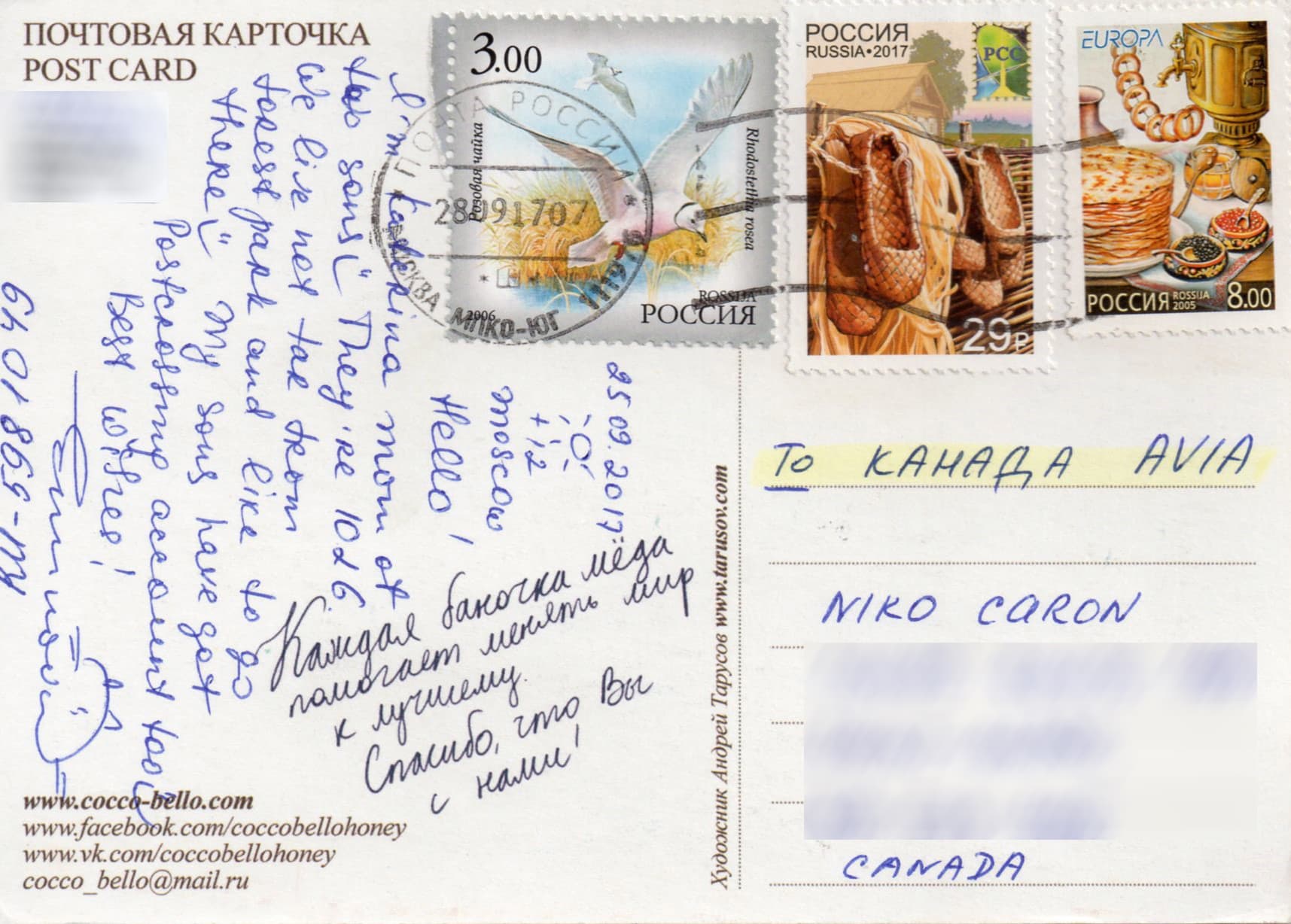 Russia card back 5